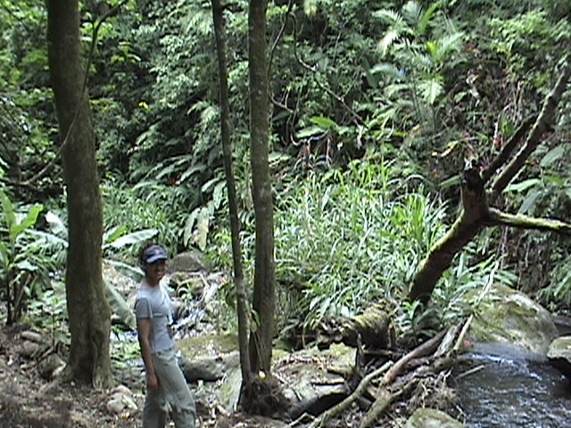 Costa Rica 001.jpg